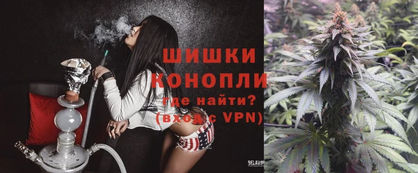 трава Елабуга